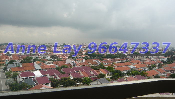 Ocean Park thumbnail photo